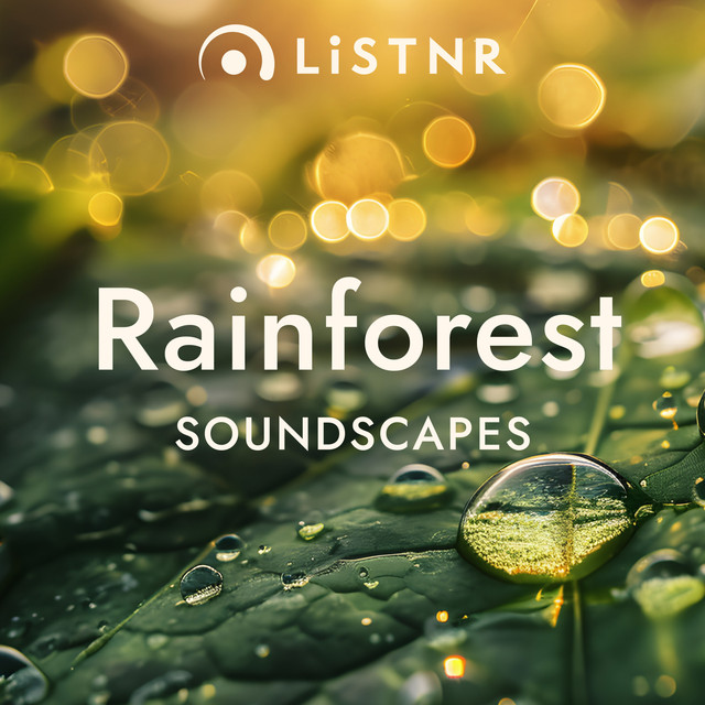 LiSTNR - Rainforest [Soundscapes]
