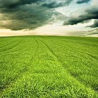 呼伦贝尔汉语广播