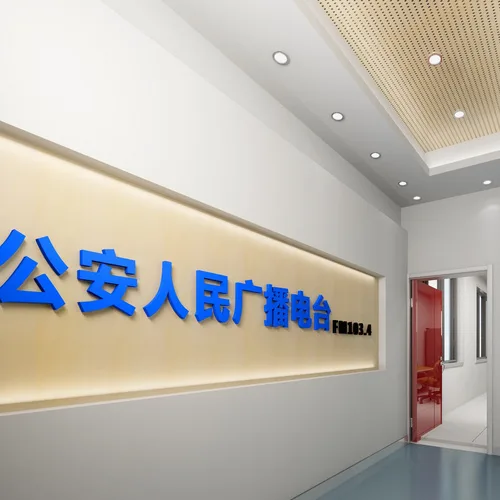 公安县综合广播