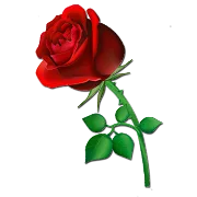 Boleros Inolvidables (FMLima)