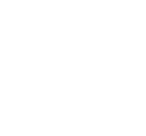 Droogies