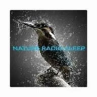 NATURE RADIO SLEEP
