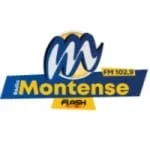 Rádio Montense Flash Minas 102.9 FM